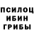 Псилоцибиновые грибы ЛСД OrViV