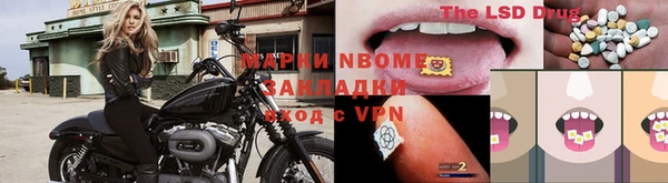 СК Волоколамск