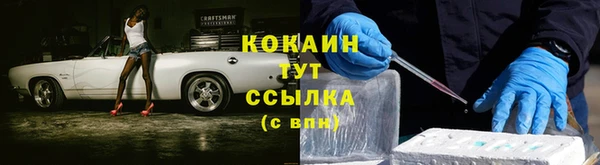 СК Волоколамск