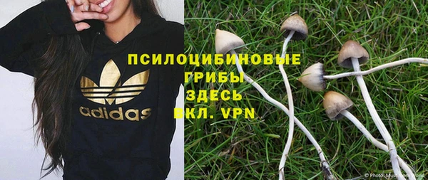 СК Волоколамск