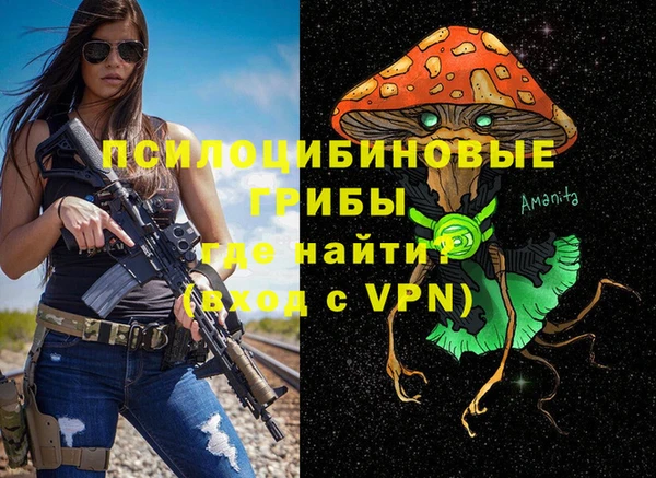 СК Волоколамск